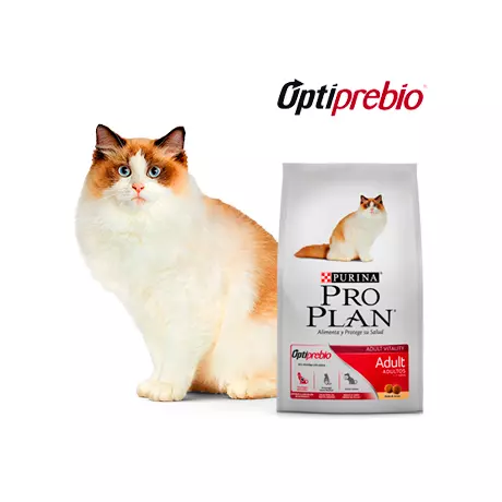 ProPlan Adulto Cat