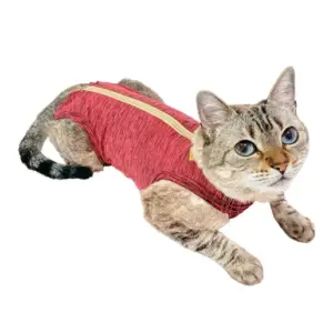 PetMed Faja Pos-Quirurgica Gato