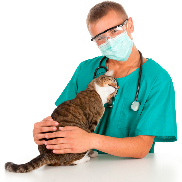 Que debo tener en cuenta antes de una cirugía