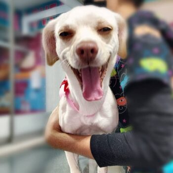 Duqueza Morales Bonifacio