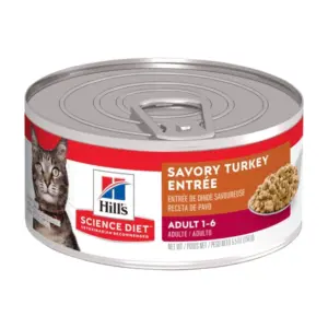 Hills SD Feline Adult Turkey – Gatos adultos