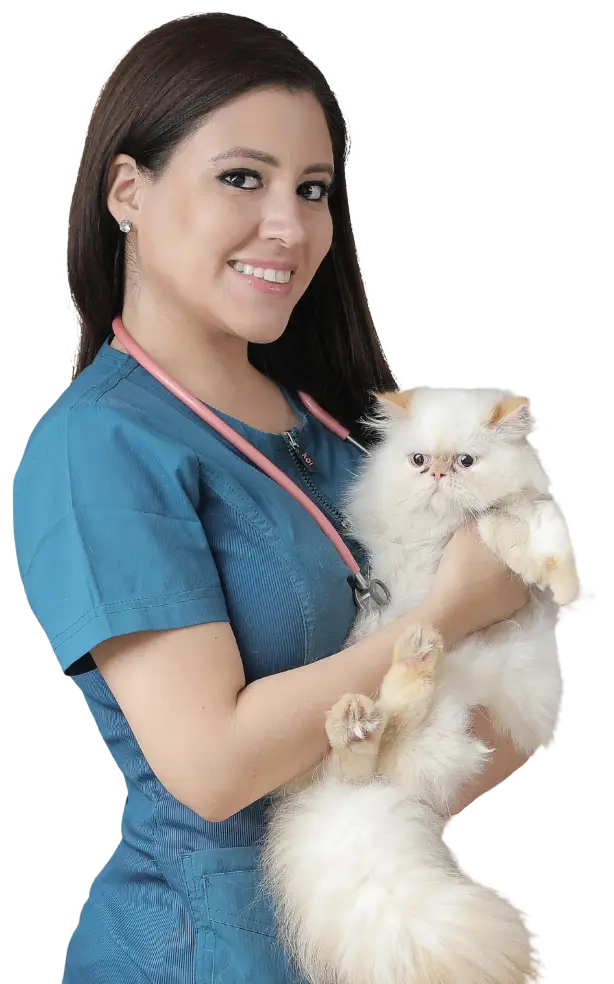 Directora M.V. Katyuska Alvarado