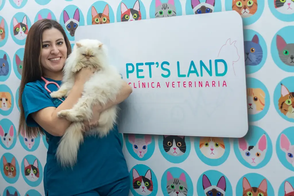 Odontología veterinaria es diagnóstico y tratamiento